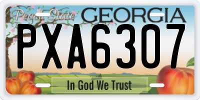 GA license plate PXA6307