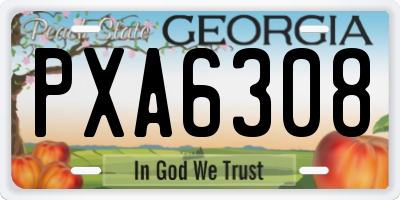 GA license plate PXA6308