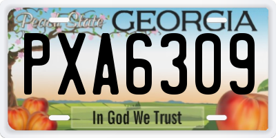 GA license plate PXA6309