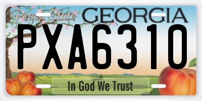 GA license plate PXA6310