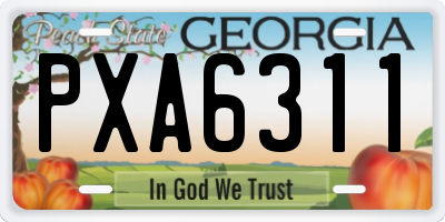 GA license plate PXA6311