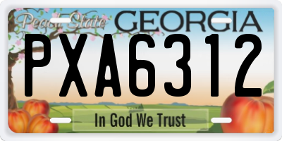 GA license plate PXA6312