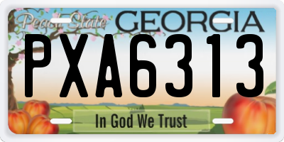 GA license plate PXA6313
