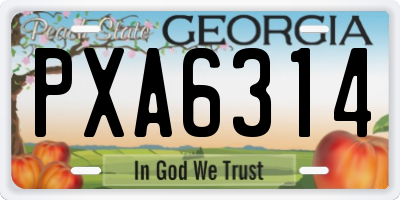 GA license plate PXA6314