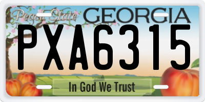 GA license plate PXA6315