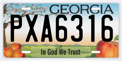 GA license plate PXA6316