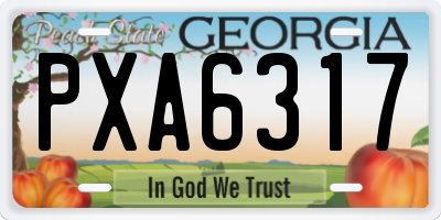 GA license plate PXA6317