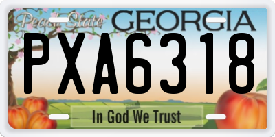 GA license plate PXA6318