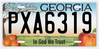 GA license plate PXA6319