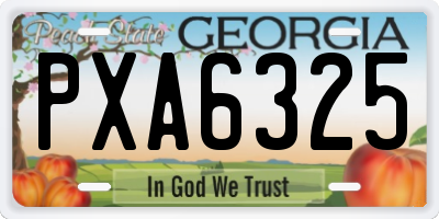 GA license plate PXA6325
