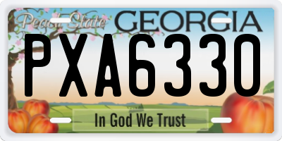 GA license plate PXA6330