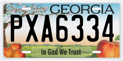 GA license plate PXA6334
