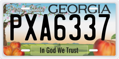 GA license plate PXA6337