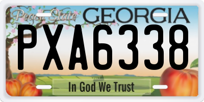 GA license plate PXA6338