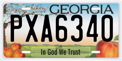 GA license plate PXA6340