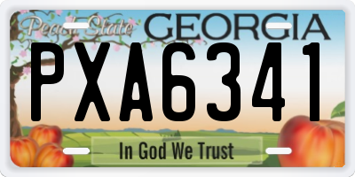 GA license plate PXA6341