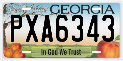 GA license plate PXA6343