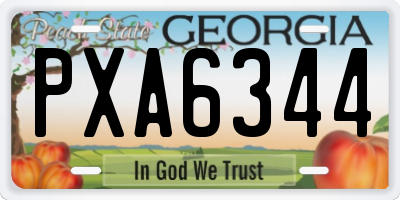 GA license plate PXA6344