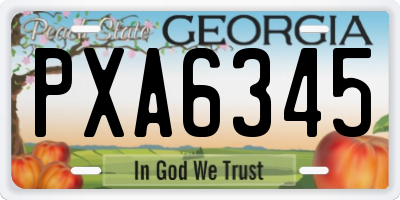 GA license plate PXA6345