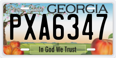 GA license plate PXA6347