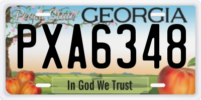GA license plate PXA6348