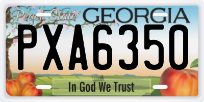 GA license plate PXA6350