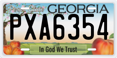 GA license plate PXA6354