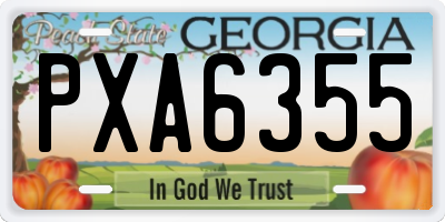 GA license plate PXA6355