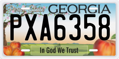 GA license plate PXA6358