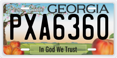 GA license plate PXA6360