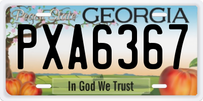 GA license plate PXA6367