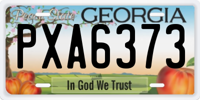 GA license plate PXA6373