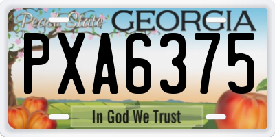 GA license plate PXA6375