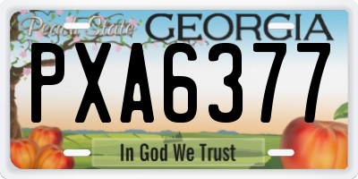 GA license plate PXA6377