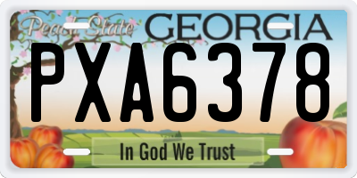 GA license plate PXA6378