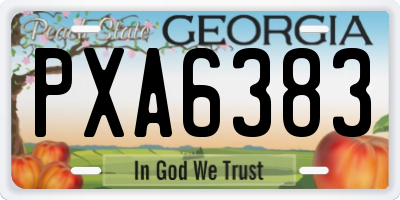 GA license plate PXA6383