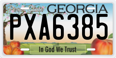GA license plate PXA6385