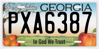 GA license plate PXA6387