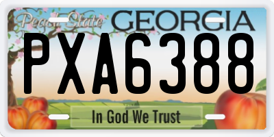 GA license plate PXA6388