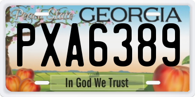 GA license plate PXA6389