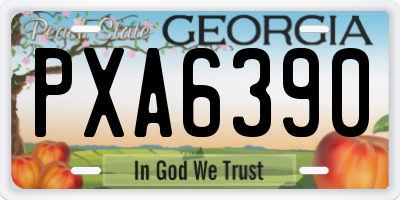 GA license plate PXA6390