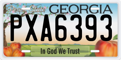 GA license plate PXA6393
