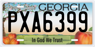 GA license plate PXA6399