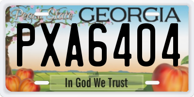 GA license plate PXA6404