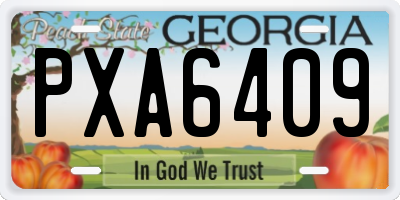 GA license plate PXA6409