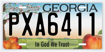 GA license plate PXA6411