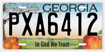 GA license plate PXA6412