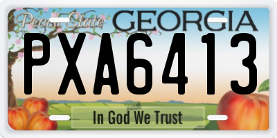 GA license plate PXA6413