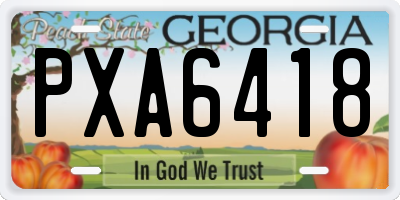 GA license plate PXA6418