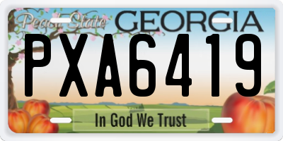 GA license plate PXA6419